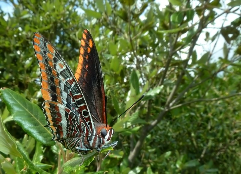 ..Sempre le stesse....